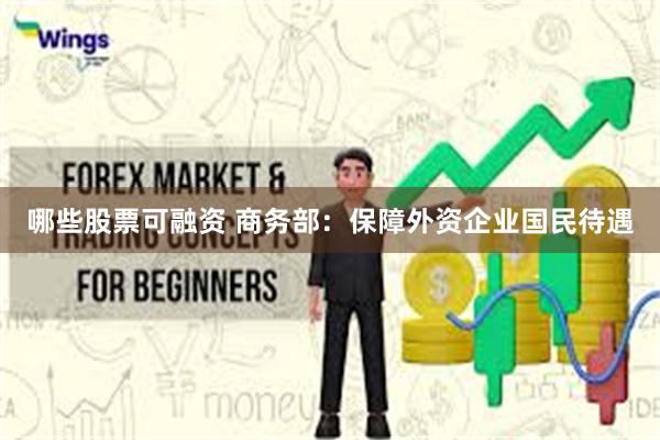 哪些股票可融资 商务部：保障外资企业国民待遇