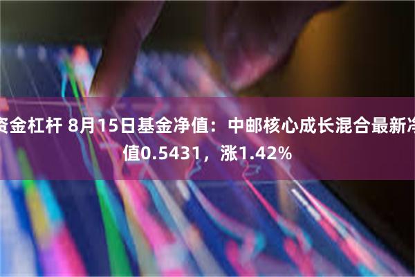资金杠杆 8月15日基金净值：中邮核心成长混合最新净值0.5431，涨1.42%