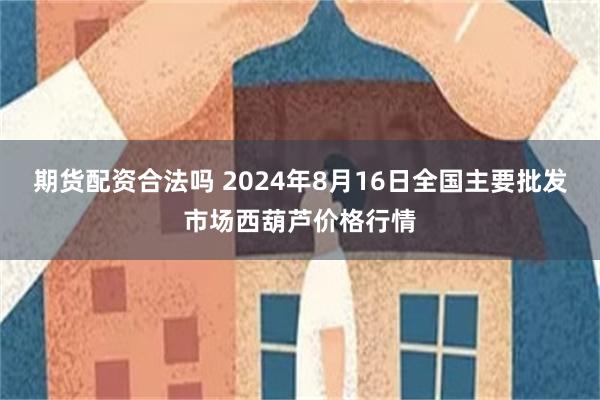 期货配资合法吗 2024年8月16日全国主要批发市场西葫芦价格行情