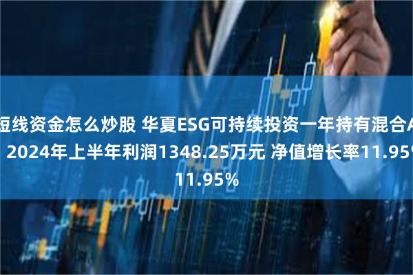短线资金怎么炒股 华夏ESG可持续投资一年持有混合A：2024年上半年利润1348.25万元 净值增长率11.95%