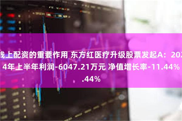 线上配资的重要作用 东方红医疗升级股票发起A：2024年上半年利润-6047.21万元 净值增长率-11.44%