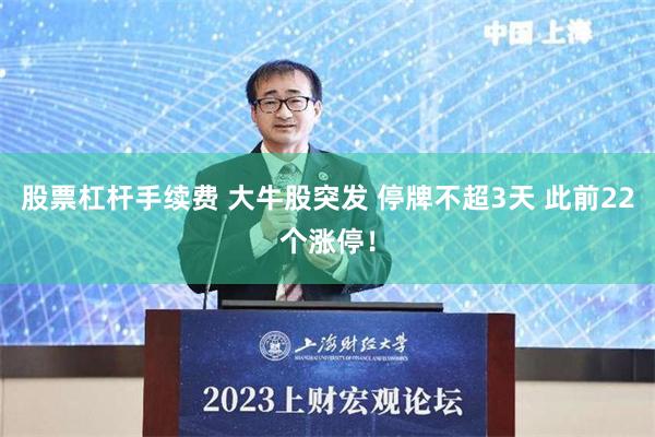 股票杠杆手续费 大牛股突发 停牌不超3天 此前22个涨停！