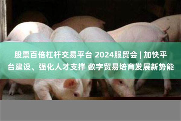 股票百倍杠杆交易平台 2024服贸会 | 加快平台建设、强化人才支撑 数字贸易培育发展新势能