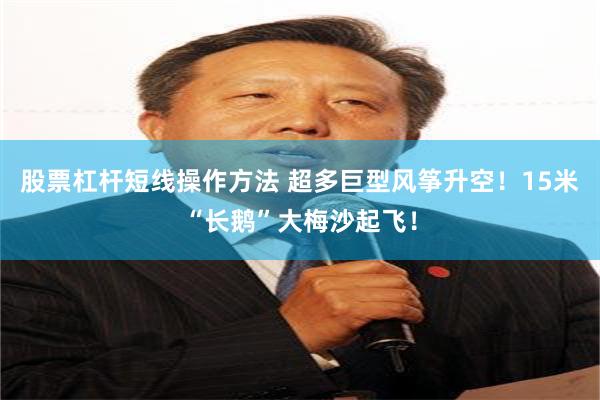股票杠杆短线操作方法 超多巨型风筝升空！15米“长鹅”大梅沙起飞！