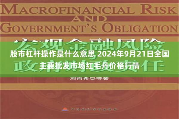 股市杠杆操作是什么意思 2024年9月21日全国主要批发市场红毛丹价格行情