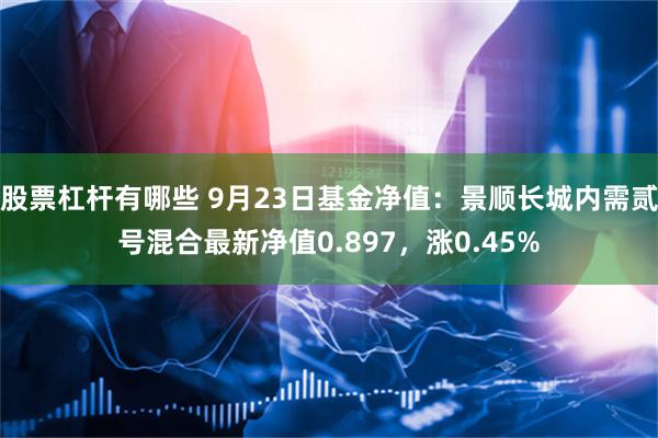 股票杠杆有哪些 9月23日基金净值：景顺长城内需贰号混合最新净值0.897，涨0.45%
