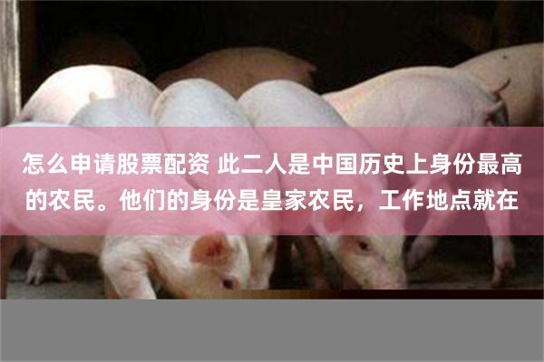 怎么申请股票配资 此二人是中国历史上身份最高的农民。他们的身份是皇家农民，工作地点就在