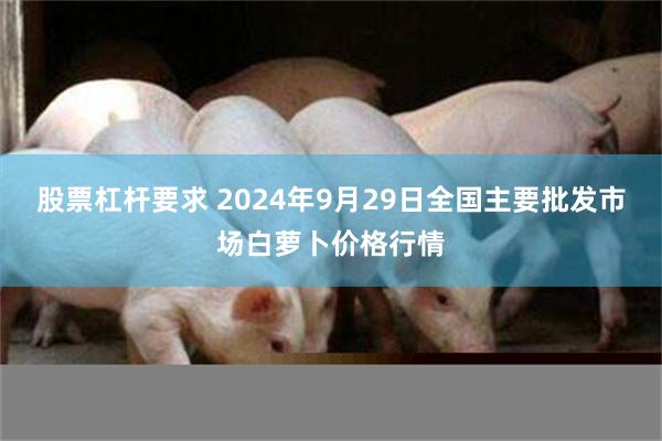 股票杠杆要求 2024年9月29日全国主要批发市场白萝卜价格行情