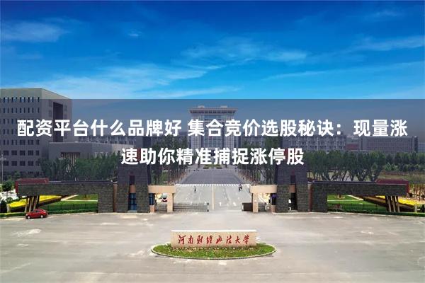 配资平台什么品牌好 集合竞价选股秘诀：现量涨速助你精准捕捉涨停股