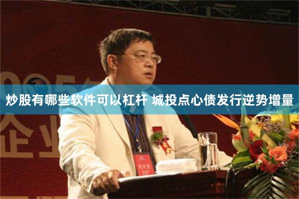 炒股有哪些软件可以杠杆 城投点心债发行逆势增量