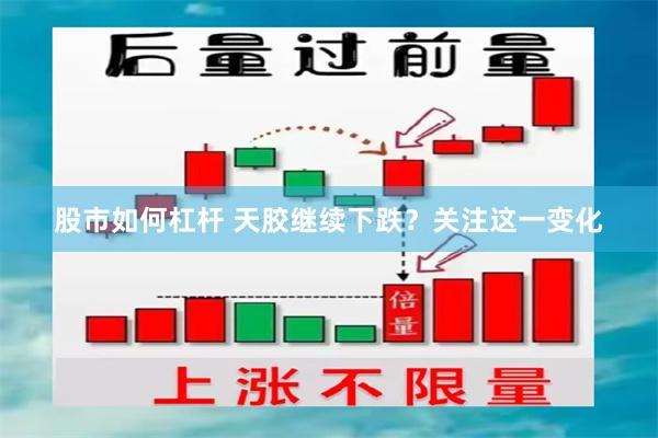 股市如何杠杆 天胶继续下跌？关注这一变化
