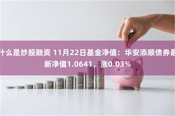 什么是炒股融资 11月22日基金净值：华安添顺债券最新净值1.0641，涨0.03%