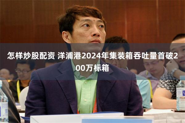 怎样炒股配资 洋浦港2024年集装箱吞吐量首破200万标箱