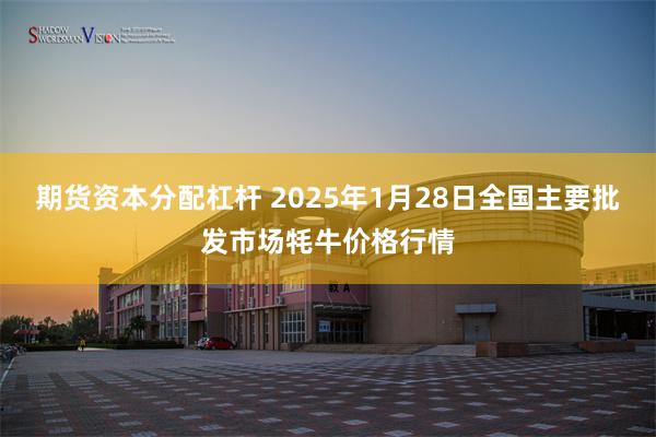 期货资本分配杠杆 2025年1月28日全国主要批发市场牦牛价格行情