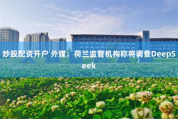 炒股配资开户 外媒：荷兰监管机构称将调查DeepSeek