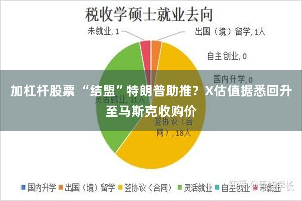 加杠杆股票 “结盟”特朗普助推？X估值据悉回升至马斯克收购价