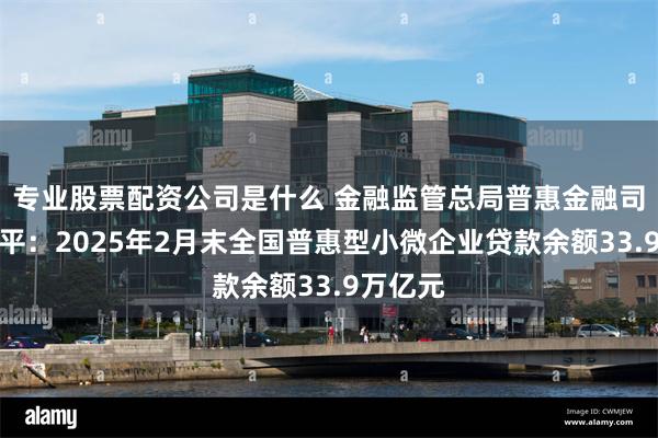 专业股票配资公司是什么 金融监管总局普惠金融司司长蒋平：2025年2月末全国普惠型小微企业贷款余额33.9万亿元