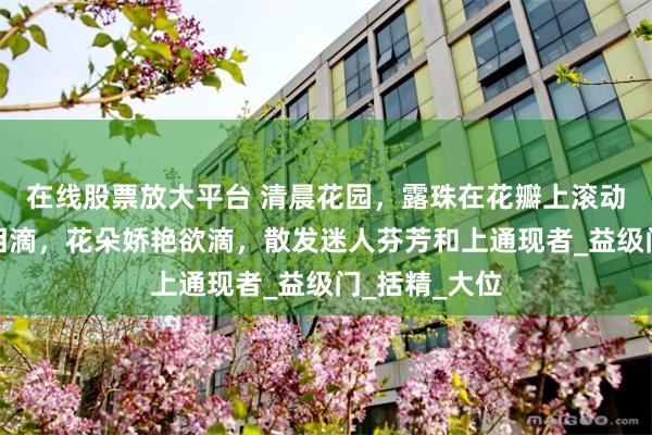 在线股票放大平台 清晨花园，露珠在花瓣上滚动，像晶莹的泪滴，花朵娇艳欲滴，散发迷人芬芳和上通现者_益级门_括精_大位