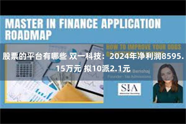 股票的平台有哪些 双一科技：2024年净利润8595.15万元 拟10派2.1元