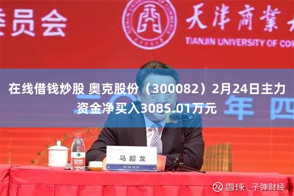 在线借钱炒股 奥克股份（300082）2月24日主力资金净买入3085.01万元