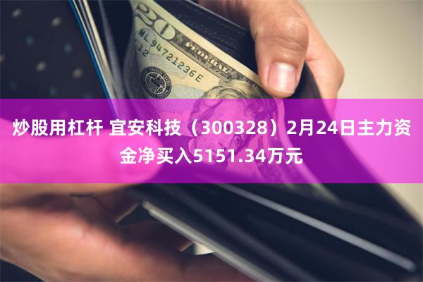 炒股用杠杆 宜安科技（300328）2月24日主力资金净买入5151.34万元