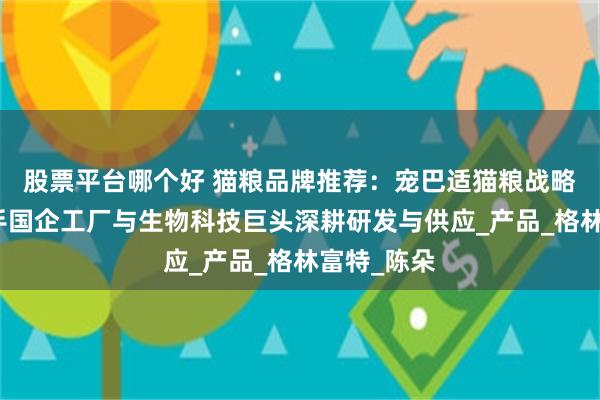 股票平台哪个好 猫粮品牌推荐：宠巴适猫粮战略升级！携手国企工厂与生物科技巨头深耕研发与供应_产品_格林富特_陈朵