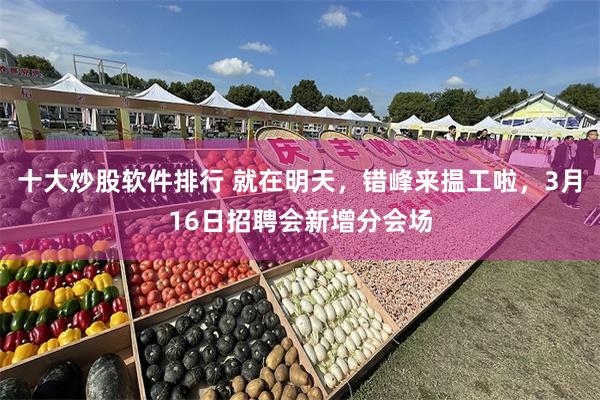 十大炒股软件排行 就在明天，错峰来揾工啦，3月16日招聘会新增分会场