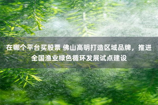 在哪个平台买股票 佛山高明打造区域品牌，推进全国渔业绿色循环发展试点建设