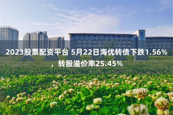 2023股票配资平台 5月22日海优转债下跌1.56%，转股溢价率25.45%
