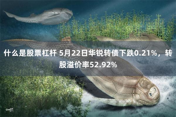什么是股票杠杆 5月22日华锐转债下跌0.21%，转股溢价率52.92%