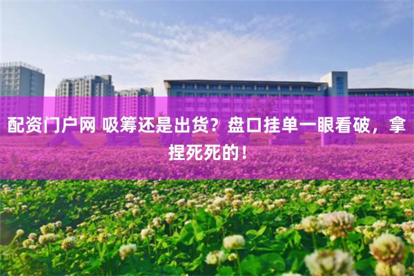 配资门户网 吸筹还是出货？盘口挂单一眼看破，拿捏死死的！