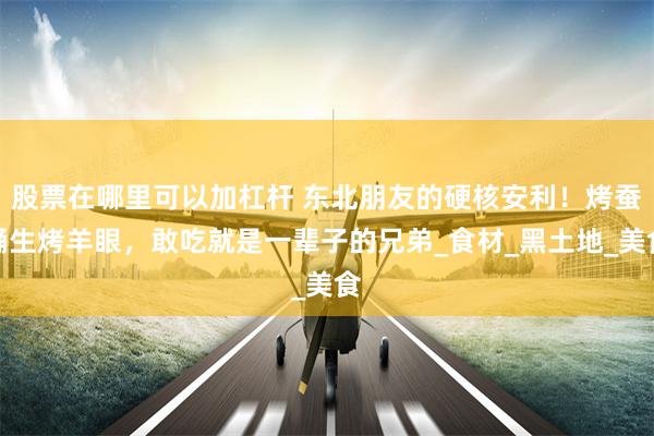 股票在哪里可以加杠杆 东北朋友的硬核安利！烤蚕蛹生烤羊眼，敢吃就是一辈子的兄弟_食材_黑土地_美食