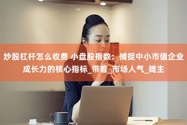 炒股杠杆怎么收费 小盘股指数：捕捉中小市值企业成长力的核心指标_带着_市场人气_摊主