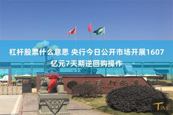 杠杆股票什么意思 央行今日公开市场开展1607亿元7天期逆回购操作