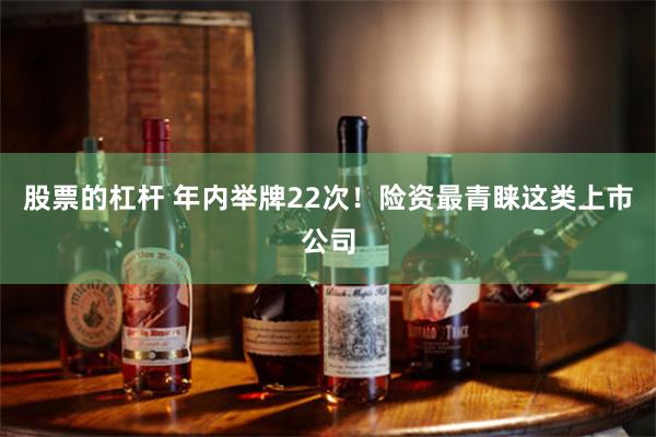 股票的杠杆 年内举牌22次！险资最青睐这类上市公司