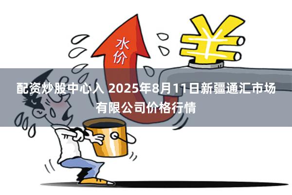配资炒股中心入 2025年8月11日新疆通汇市场有限公司价格行情
