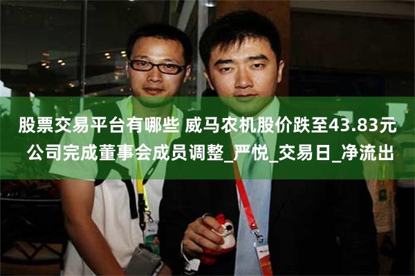 股票交易平台有哪些 威马农机股价跌至43.83元 公司完成董事会成员调整_严悦_交易日_净流出