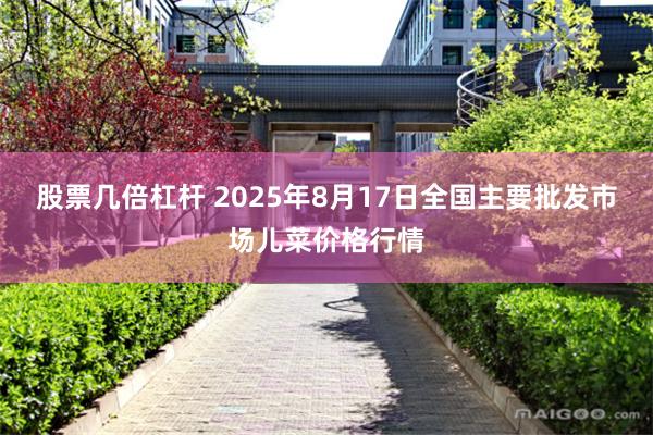 股票几倍杠杆 2025年8月17日全国主要批发市场儿菜价格行情